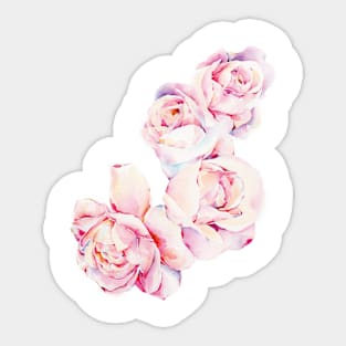 Rose Wreath Sticker